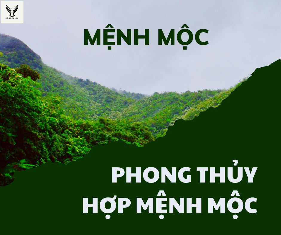 Mệnh Mộc hợp màu gì? hợp cây phong thủy nào? hợp mệnh gì? mệnh mộc nào mạnh nhất