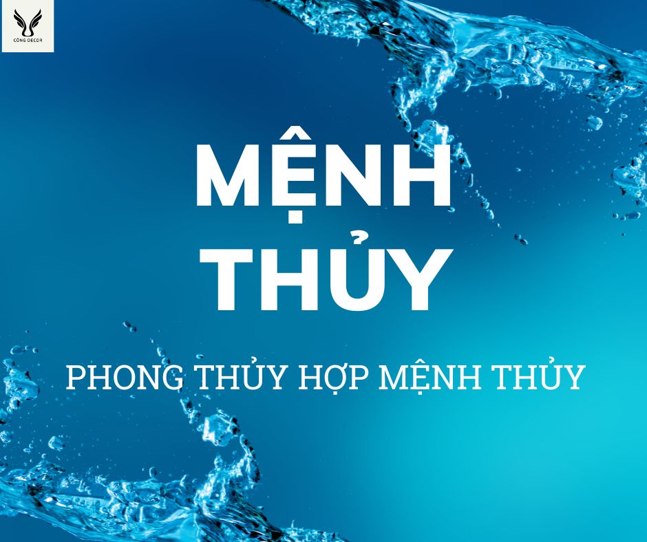 Mệnh Thủy hợp màu gì? hợp cây gì? hợp tuổi nào? mệnh thủy nào mạnh nhất