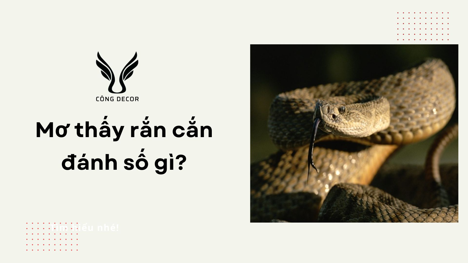 Mơ thấy rắn cắn đánh số gì
