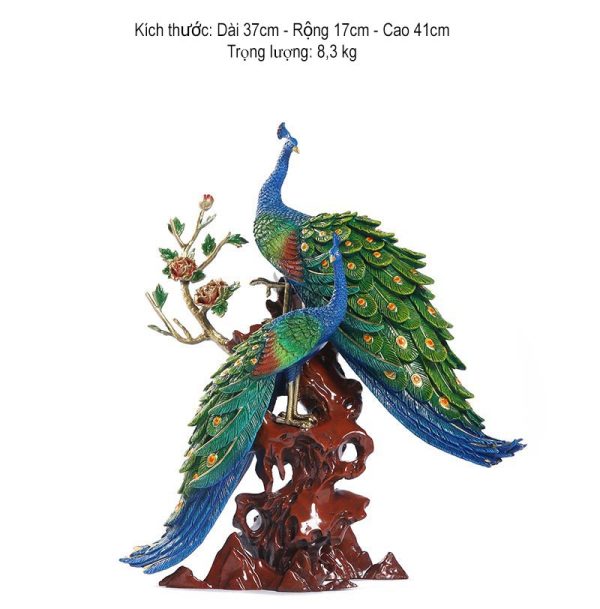 Kích thước cặp vợ chồng chim công đẹp